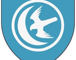 emblema arryn